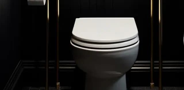 Toilet Area